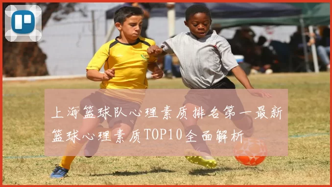 上海篮球队心理素质排名第一最新篮球心理素质TOP10全面解析