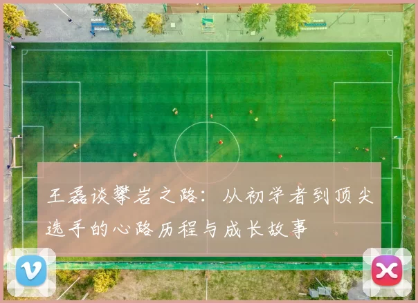 王磊谈攀岩之路：从初学者到顶尖选手的心路历程与成长故事