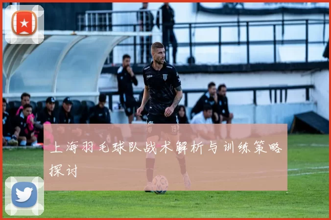 上海羽毛球队战术解析与训练策略探讨
