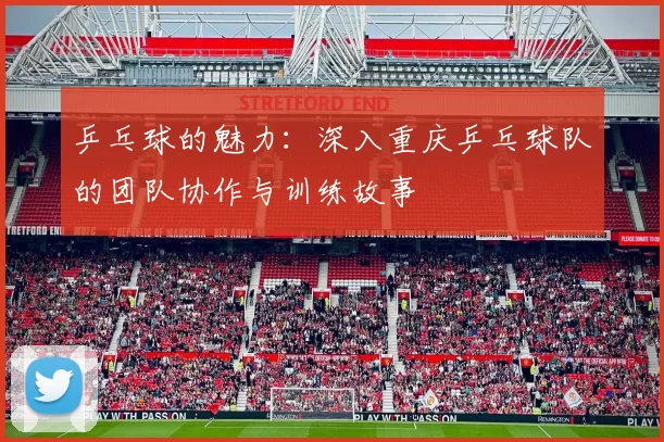 乒乓球的魅力：深入重庆乒乓球队的团队协作与训练故事