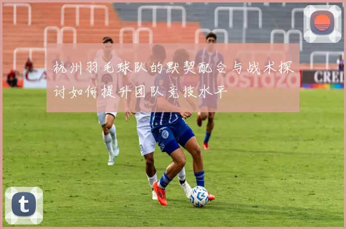 杭州羽毛球队的默契配合与战术探讨如何提升团队竞技水平