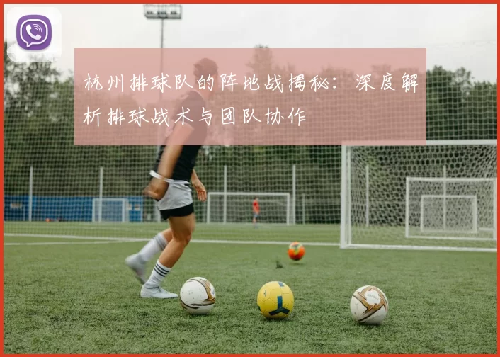 杭州排球队的阵地战揭秘：深度解析排球战术与团队协作