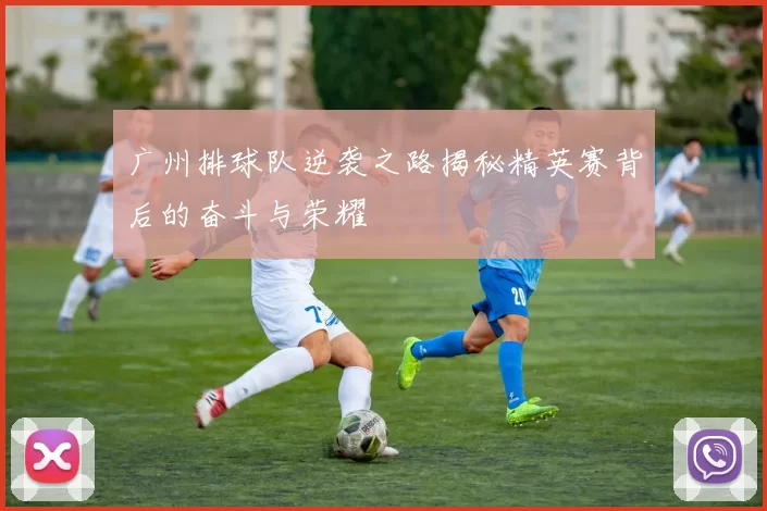 广州排球队逆袭之路揭秘精英赛背后的奋斗与荣耀