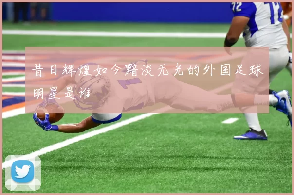 昔日辉煌如今黯淡无光的外国足球明星是谁