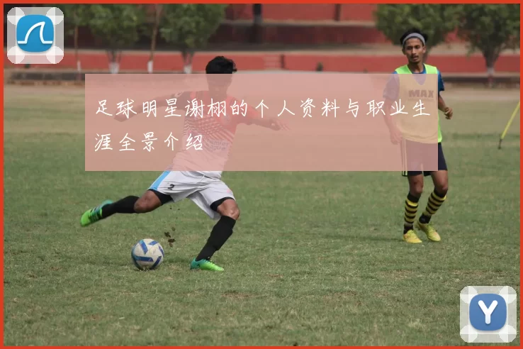 足球明星谢栩的个人资料与职业生涯全景介绍