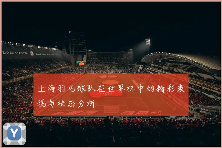 上海羽毛球队在世界杯中的精彩表现与状态分析
