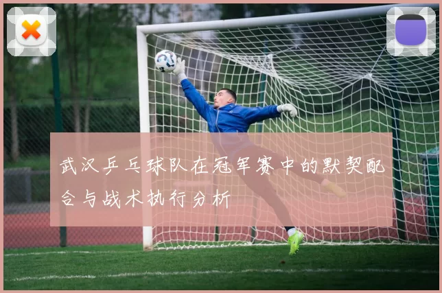 武汉乒乓球队在冠军赛中的默契配合与战术执行分析