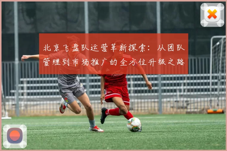 北京飞盘队运营革新探索：从团队管理到市场推广的全方位升级之路
