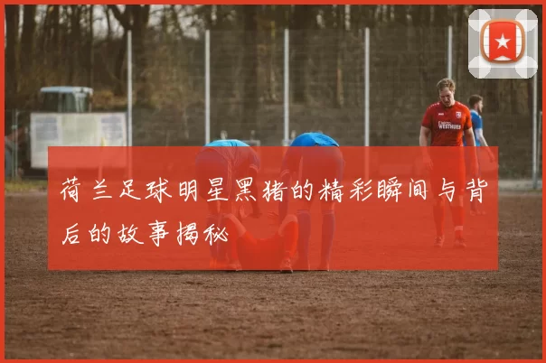 荷兰足球明星黑猪的精彩瞬间与背后的故事揭秘