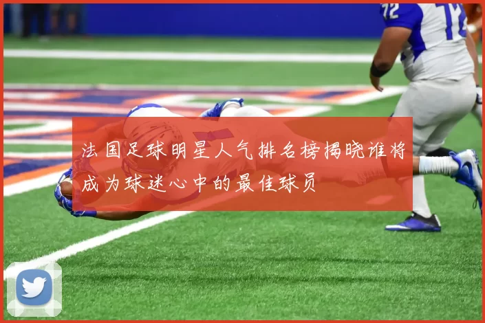 法国足球明星人气排名榜揭晓谁将成为球迷心中的最佳球员
