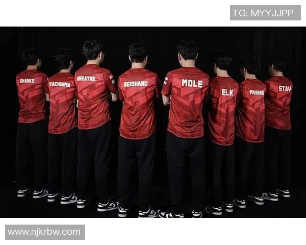 专业分析：WE战队反击战术的深度解读与应用探讨