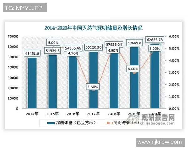 数据分析揭示LNG在不同市场环境下的耐力表现及其影响因素探讨